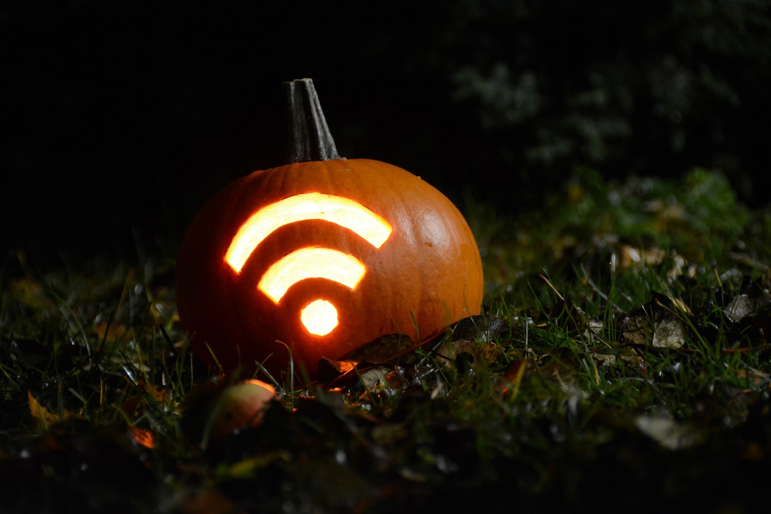 Image of a pumpkin with the WiFi symbol carved in it.