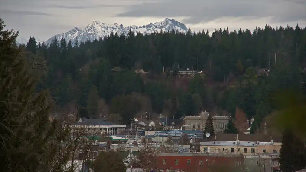Image of Shelton Washington with mountains and forest in background.